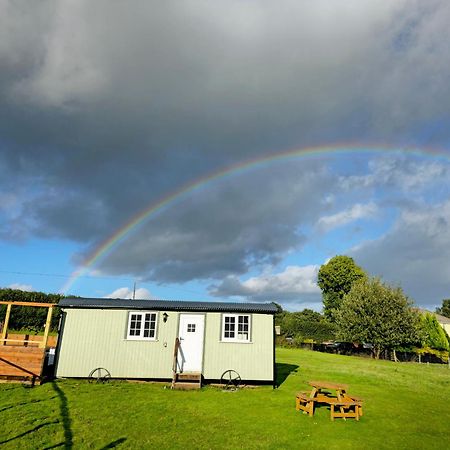 Cwtch Glamping Shepherds Huts Abergavenny Esterno foto