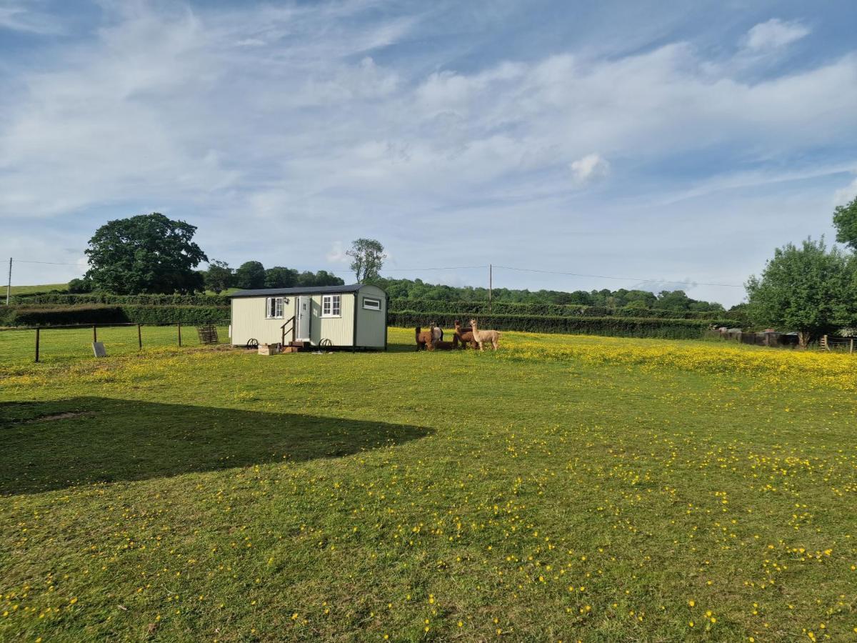 Cwtch Glamping Shepherds Huts Abergavenny Esterno foto