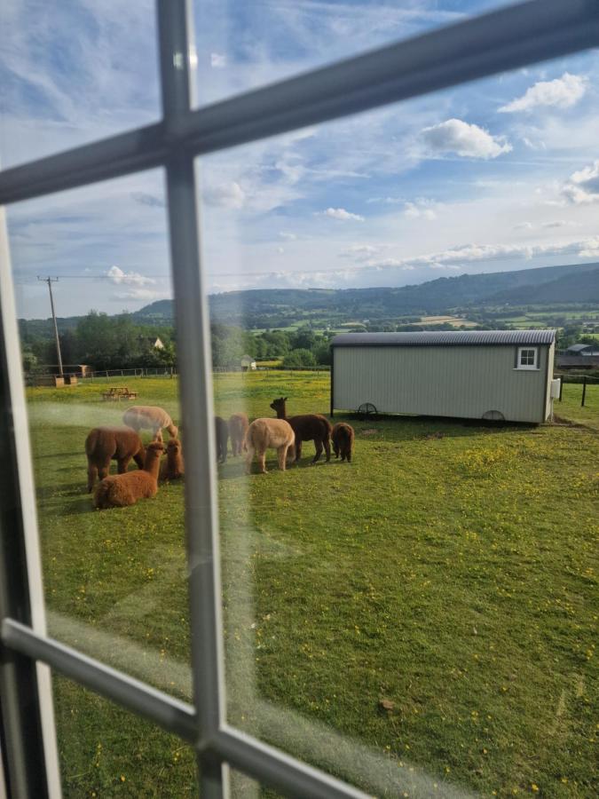 Cwtch Glamping Shepherds Huts Abergavenny Esterno foto