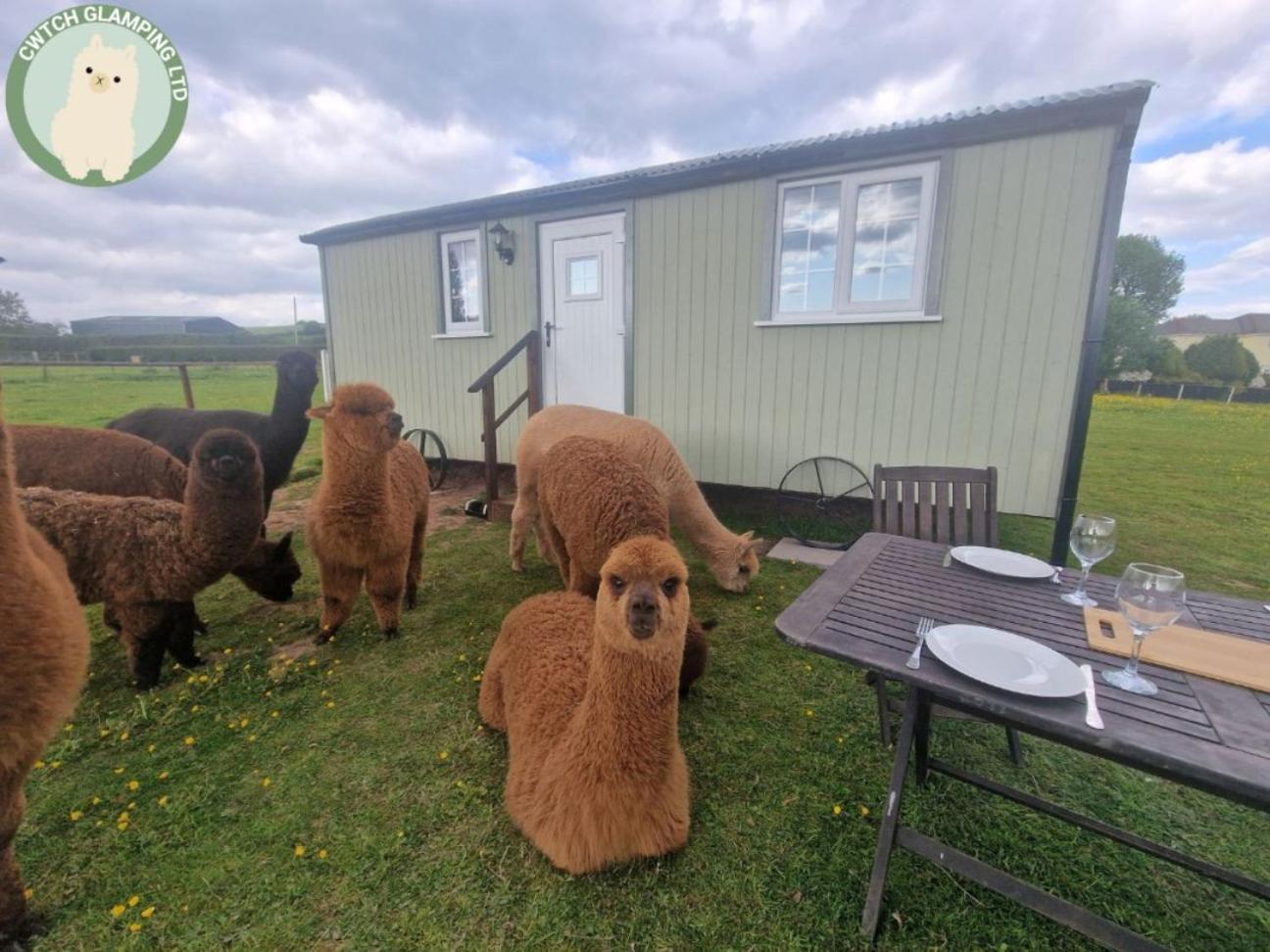 Cwtch Glamping Shepherds Huts Abergavenny Esterno foto